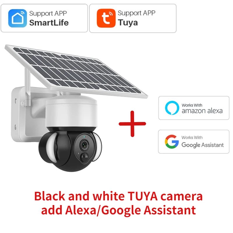 BW add Alexa