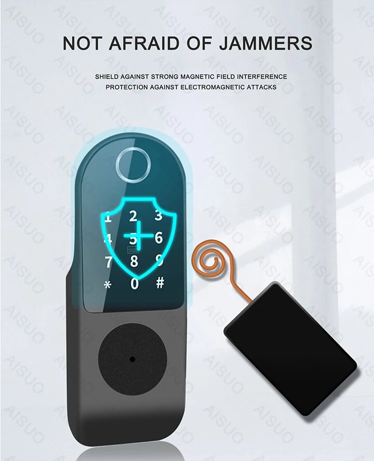 Access Smart Lock Fingerprint - Biometric Digital Lock with Remote Control Smart Door Lock TUYA WIFI Outdoor Garden