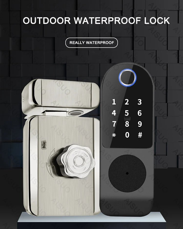 Access Smart Lock Fingerprint - Biometric Digital Lock with Remote Control Smart Door Lock TUYA WIFI Outdoor Garden