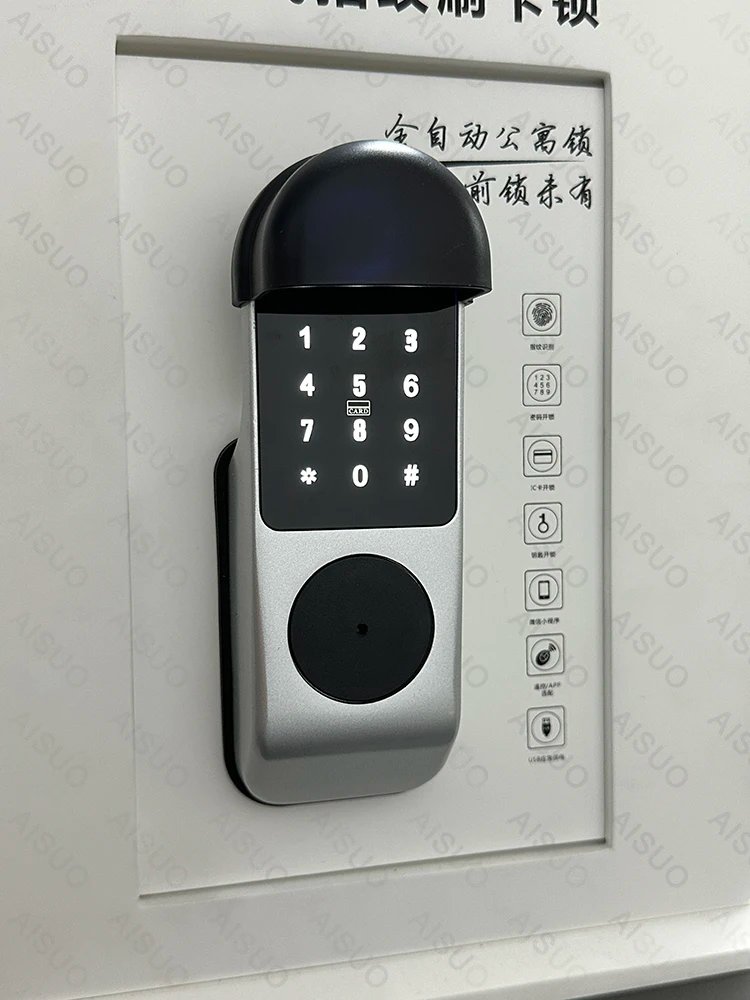 Access Smart Lock Fingerprint - Biometric Digital Lock with Remote Control Smart Door Lock TUYA WIFI Outdoor Garden