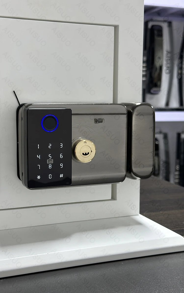 Access Smart Lock Fingerprint - Biometric Digital Lock with Remote Control Smart Door Lock TUYA WIFI Outdoor Garden