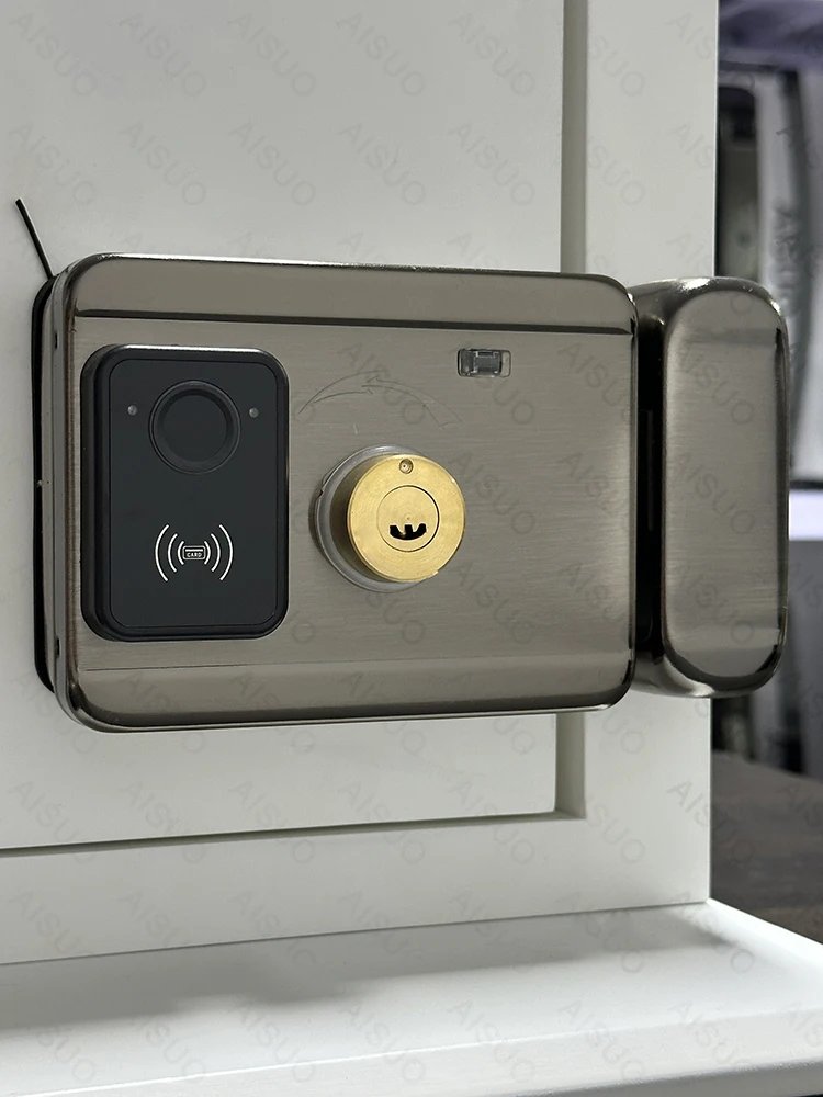 Access Smart Lock Fingerprint - Biometric Digital Lock with Remote Control Smart Door Lock TUYA WIFI Outdoor Garden