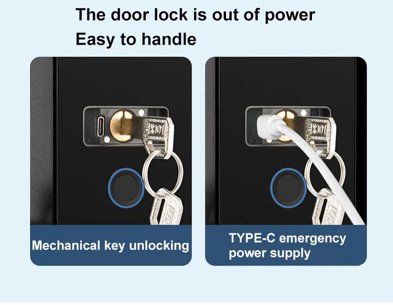 Access Electronic Fingerprint Recognition -  Smart Lock Tuya APP Rfid Card Biometric Unlock for Glass Door Lock Wooden Door